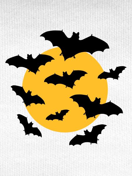 Bats & Moon