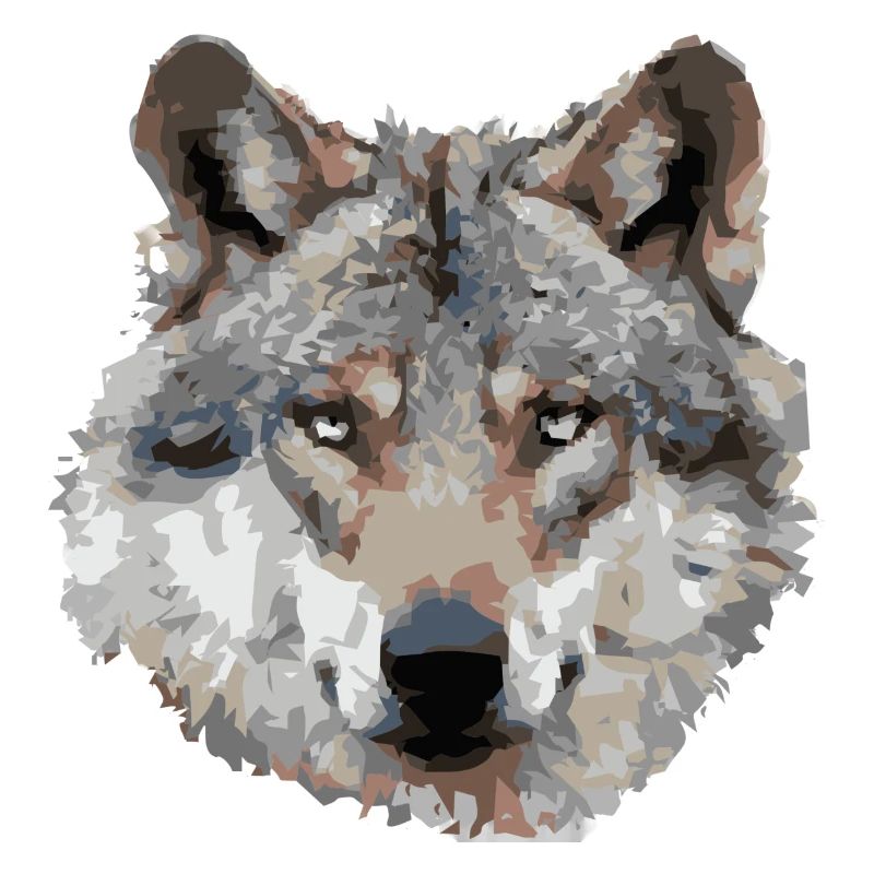 Wolf (grau)