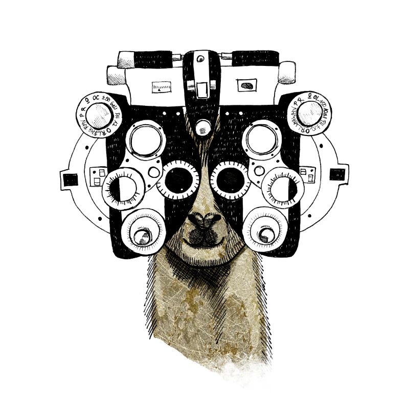 Alpaca&Phoropter