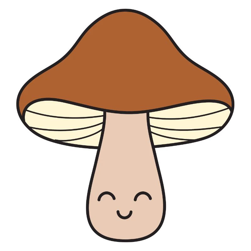 Champignons champignons