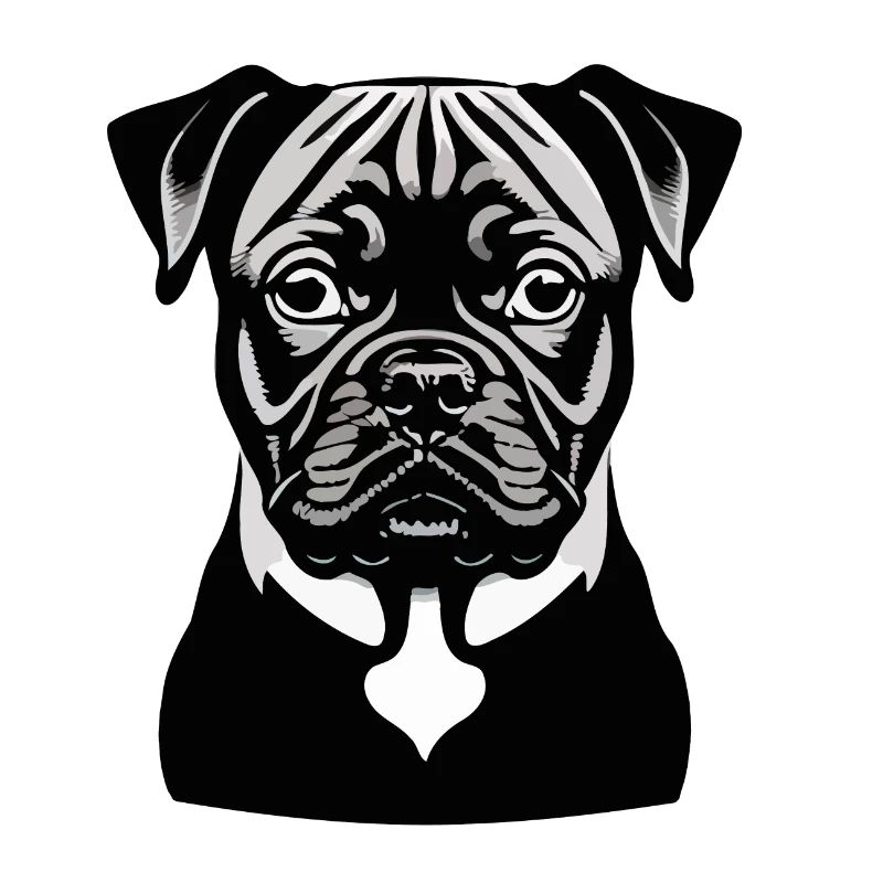 Chien, chiot, bouledogue
