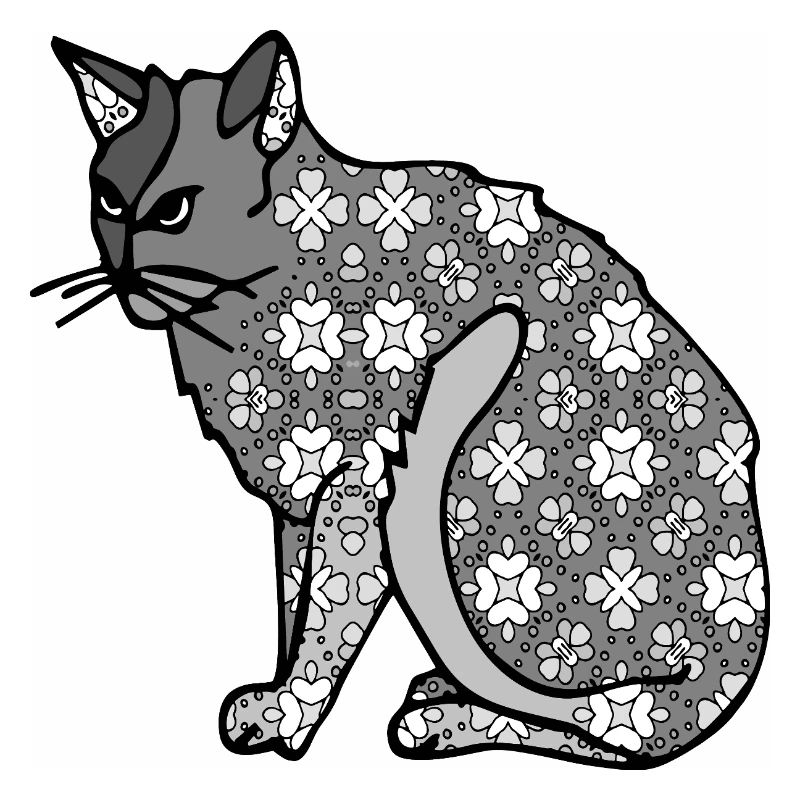 chat