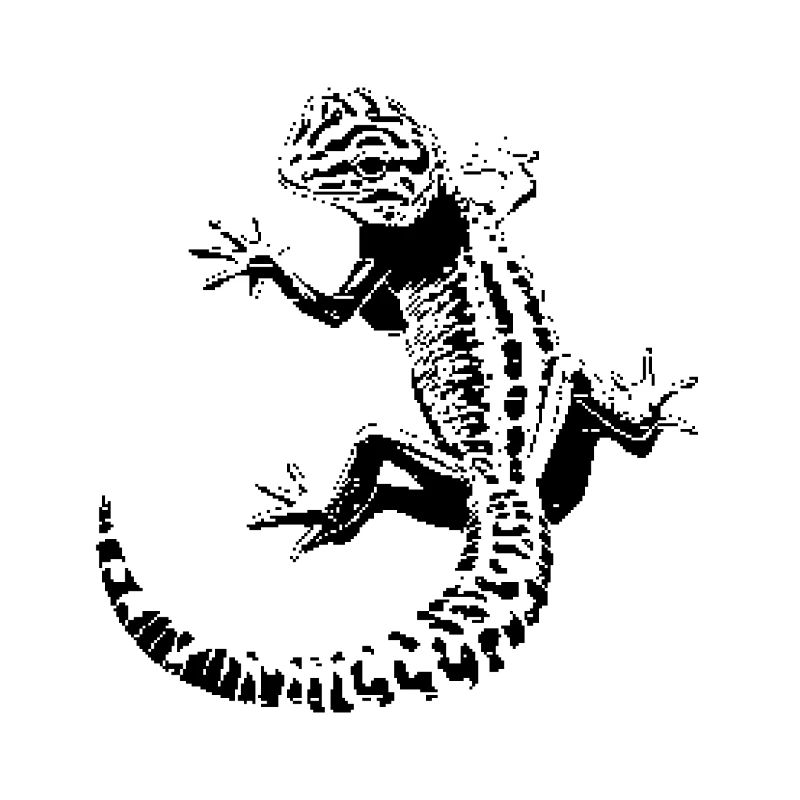 Gecko léopard