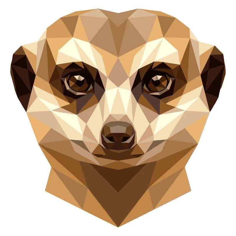 Suricate Suricate Douce Mangouste Suricate