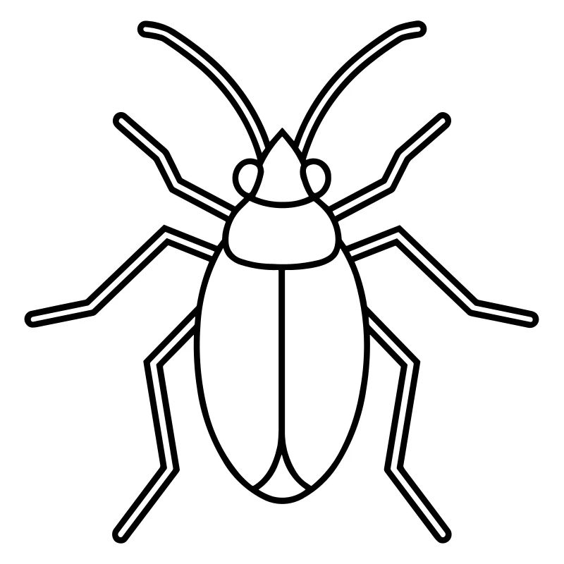 Aphid