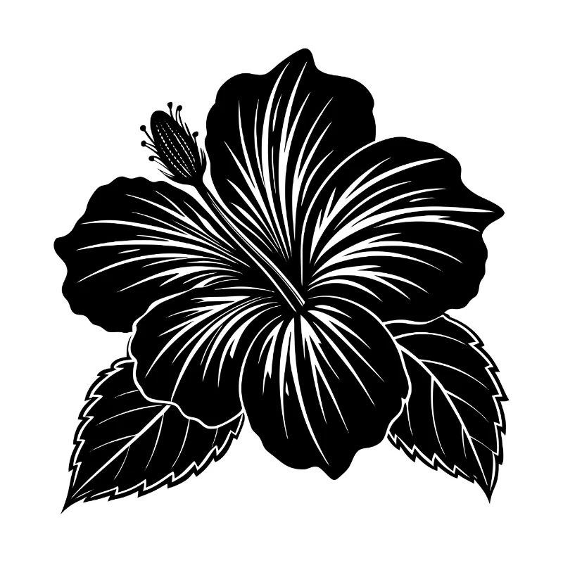 Fleur d’hibiscus