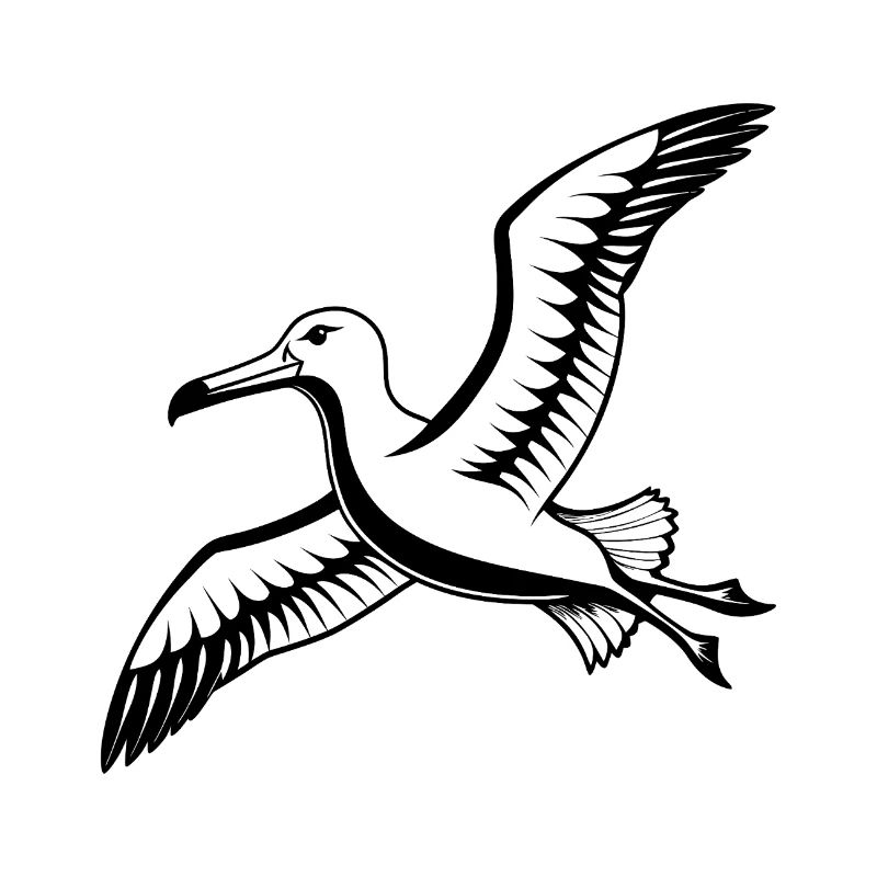 Neuseeländischer Albatros