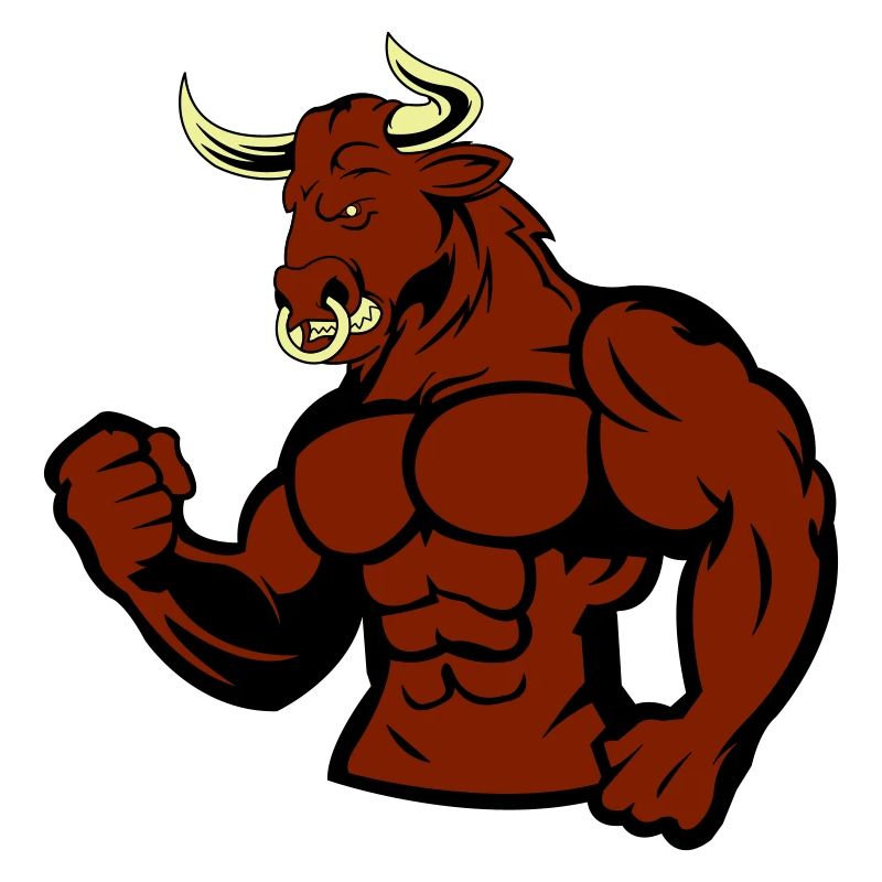 Taureau musclé Taureau