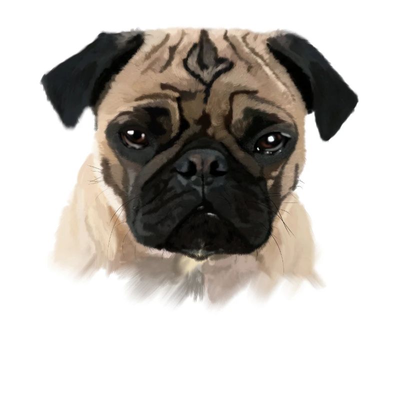 mops