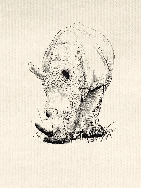 Rhino