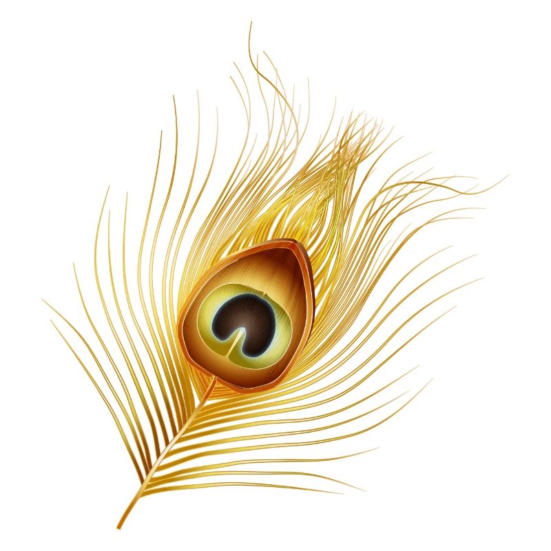 plume de paon dorée dessinée à la main