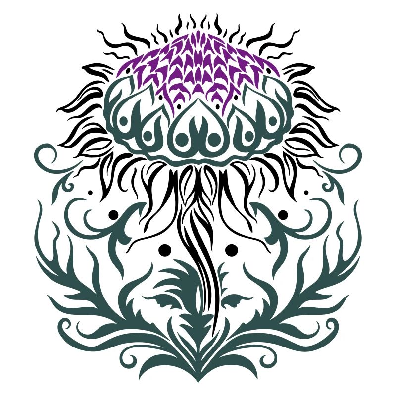 Chardon pourpre Chardon