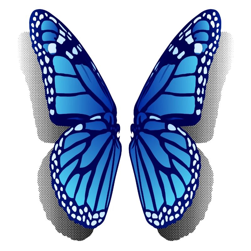 Ailes de papillon Monarc