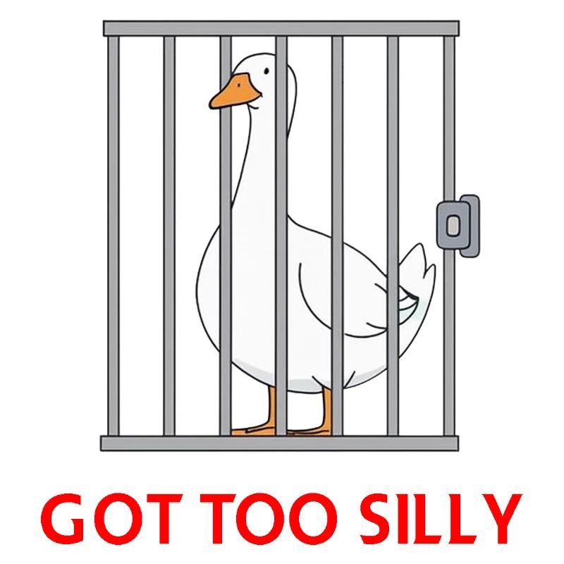 Goose – Got Too Silly