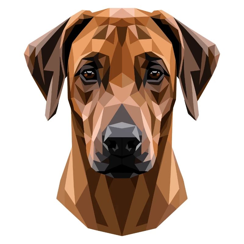 Rhodesian Ridgeback Jagdhund Hunde Stolz Ridgeback