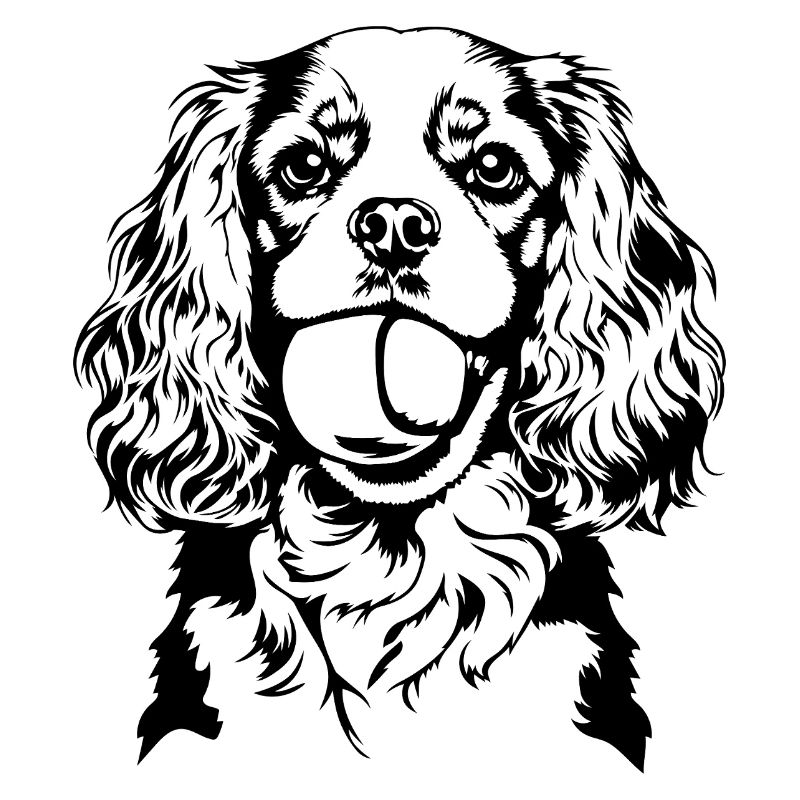 Cavalier King Charles Spaniel Ball Dogs Wilsigns