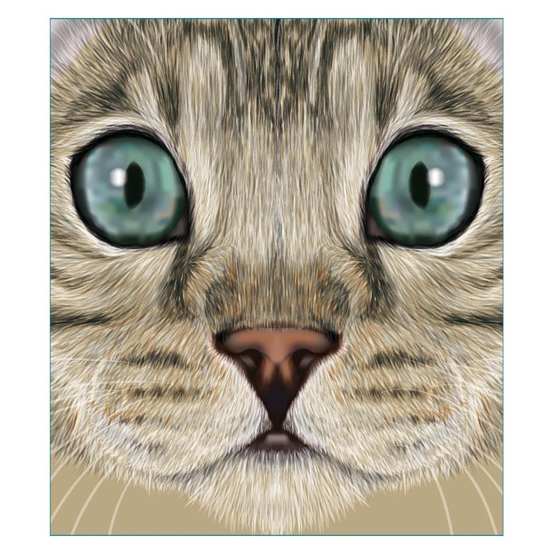 Chat léopard