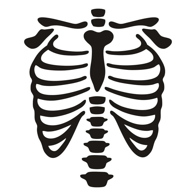 xray_vector