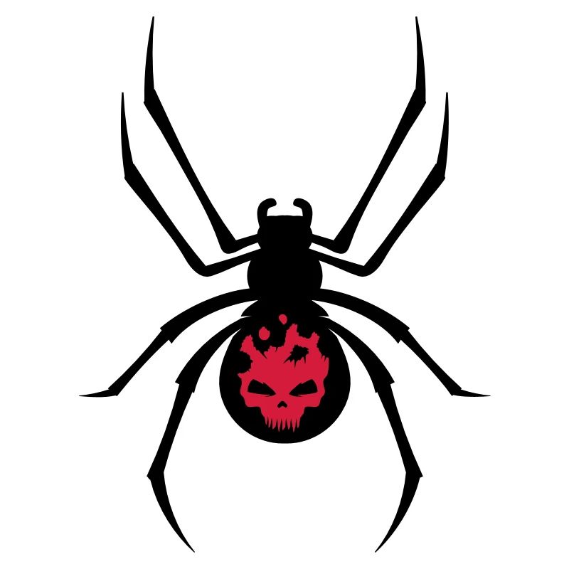 Une araignée noire avec le crâne rouge