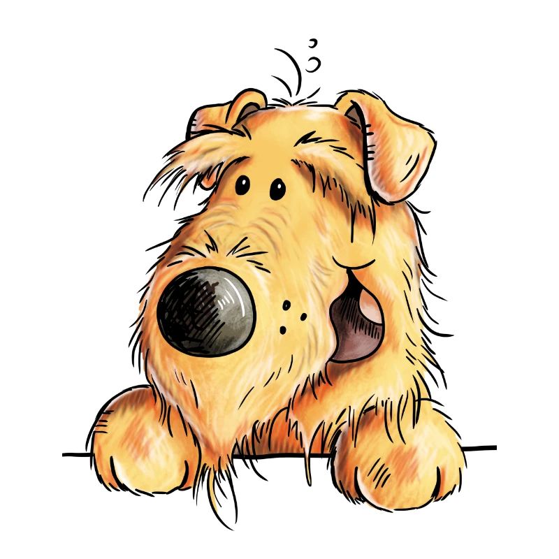 Witziger Airedale Terrier - Welsh Terrier - Hund