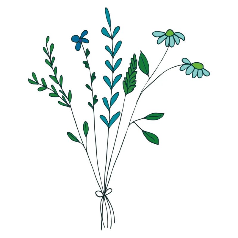 fleur prairie tons bleus fleurs sèches