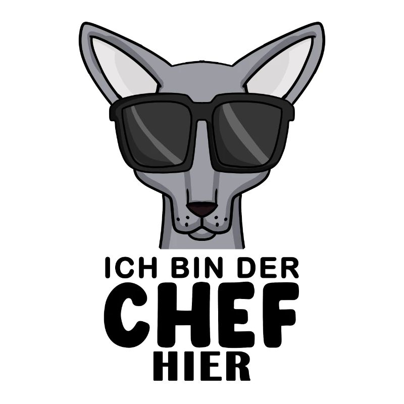 coole Katze - Sphynx Katze Spruch