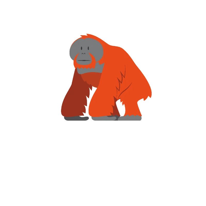 L’orang-outan sage