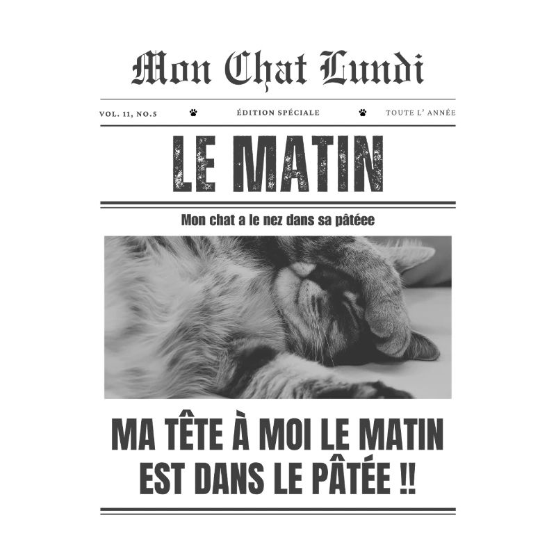  Lundi matin - mon chat