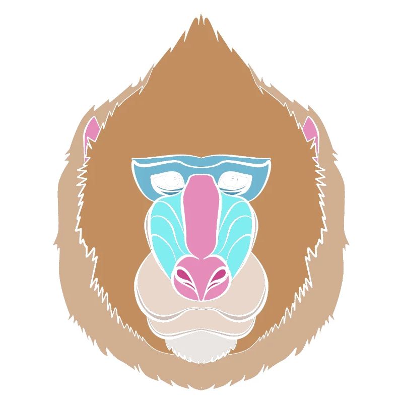 Babouin Babouin Primate Singe Singe