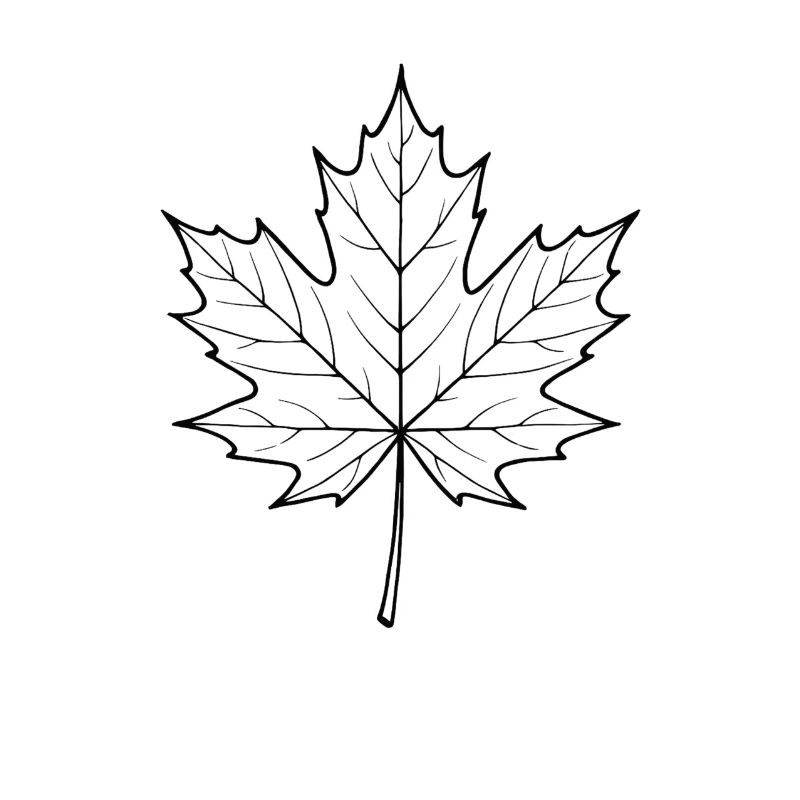 Maple Leaf Line Design
