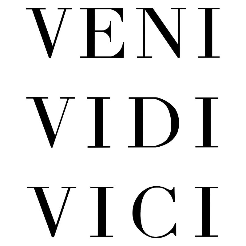veni vidi vici