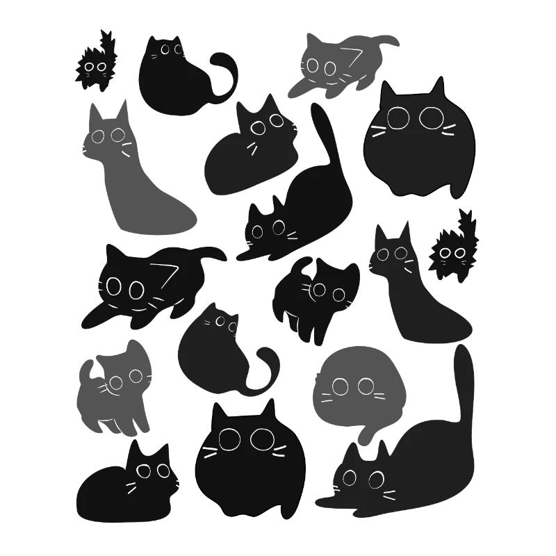 Montage du chat de minuit