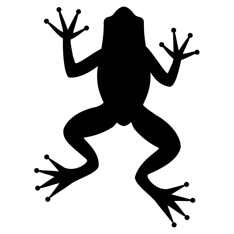 Grenouille crapaud