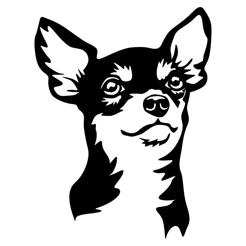 Tête de Chihuahua