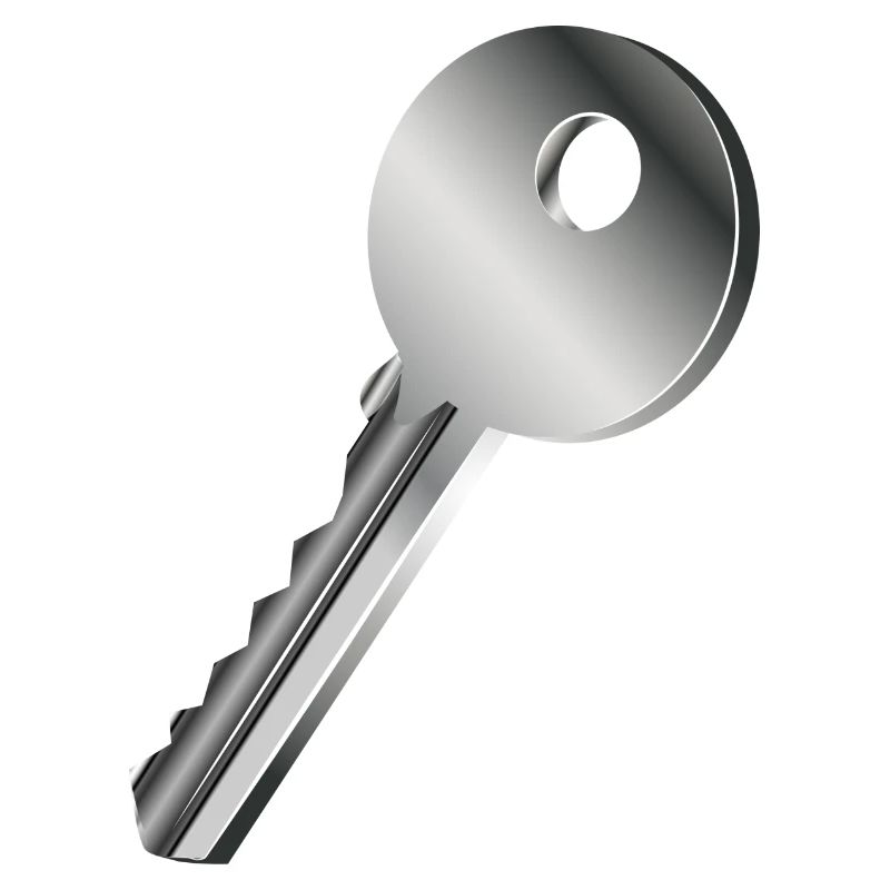 clé unique de couleur argent