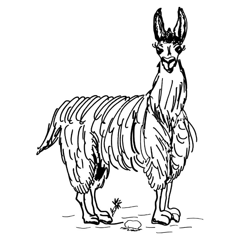lama