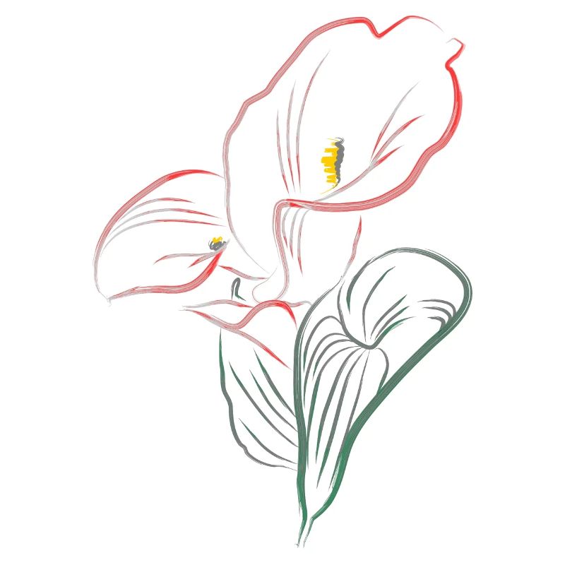 CALLA mix Red-Pink