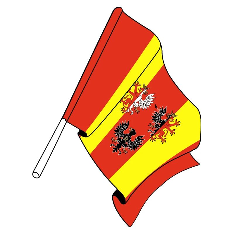 Drapeau : Lodz, Pologne