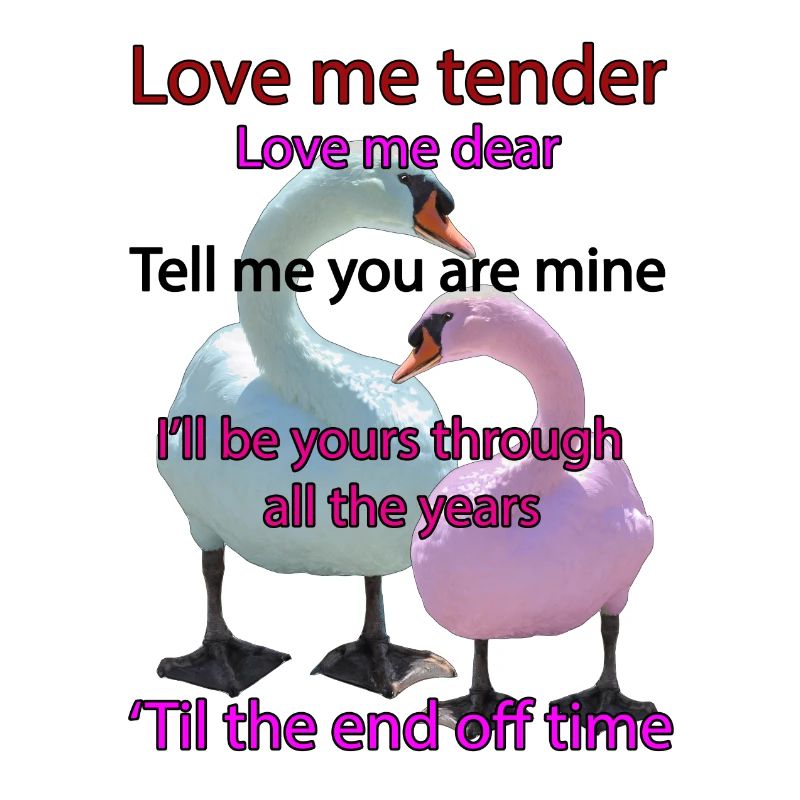 Aime-moi tendrement