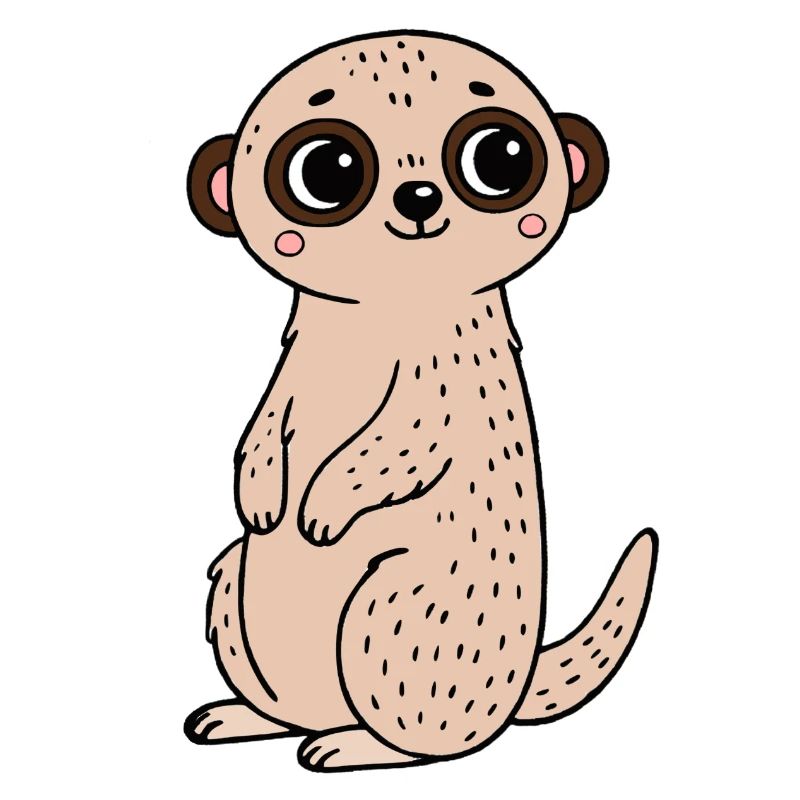 Erdmännchen