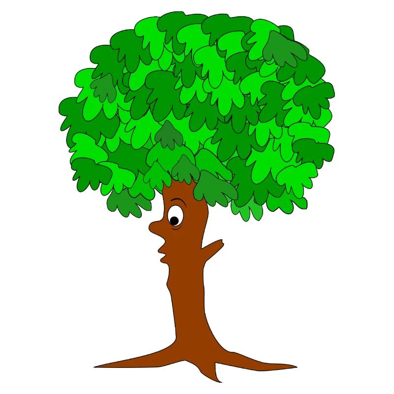 Drôle d’arbre