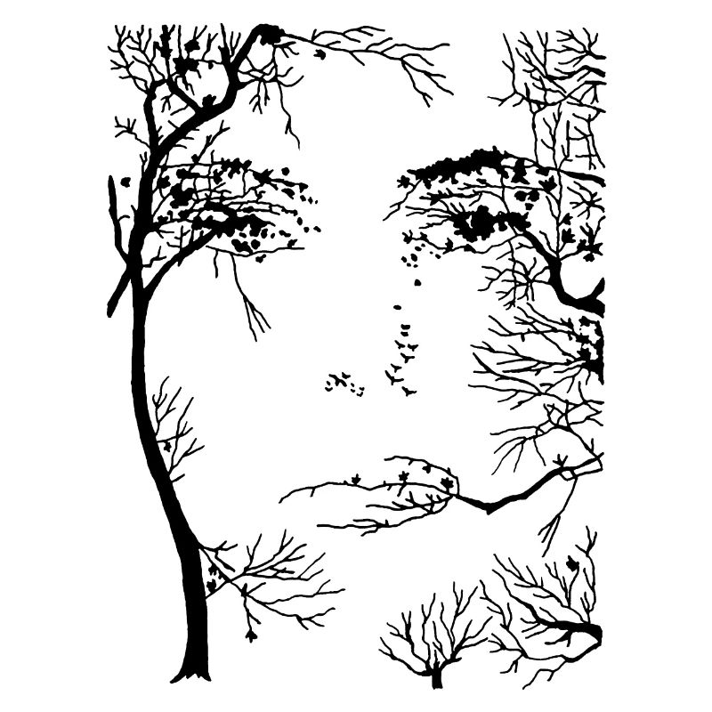 Le visage de la forêt (noir)