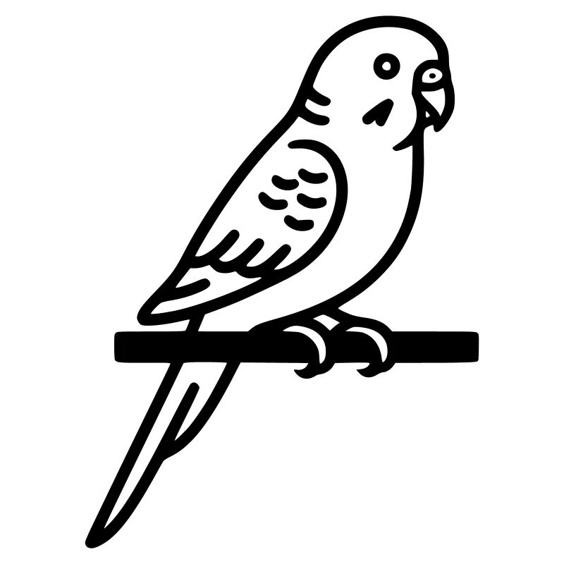 Perruche Animal de compagnie