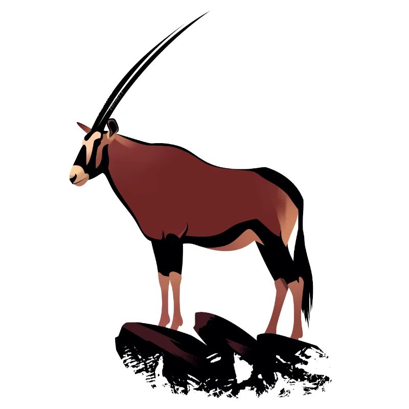 Oryx on rocks