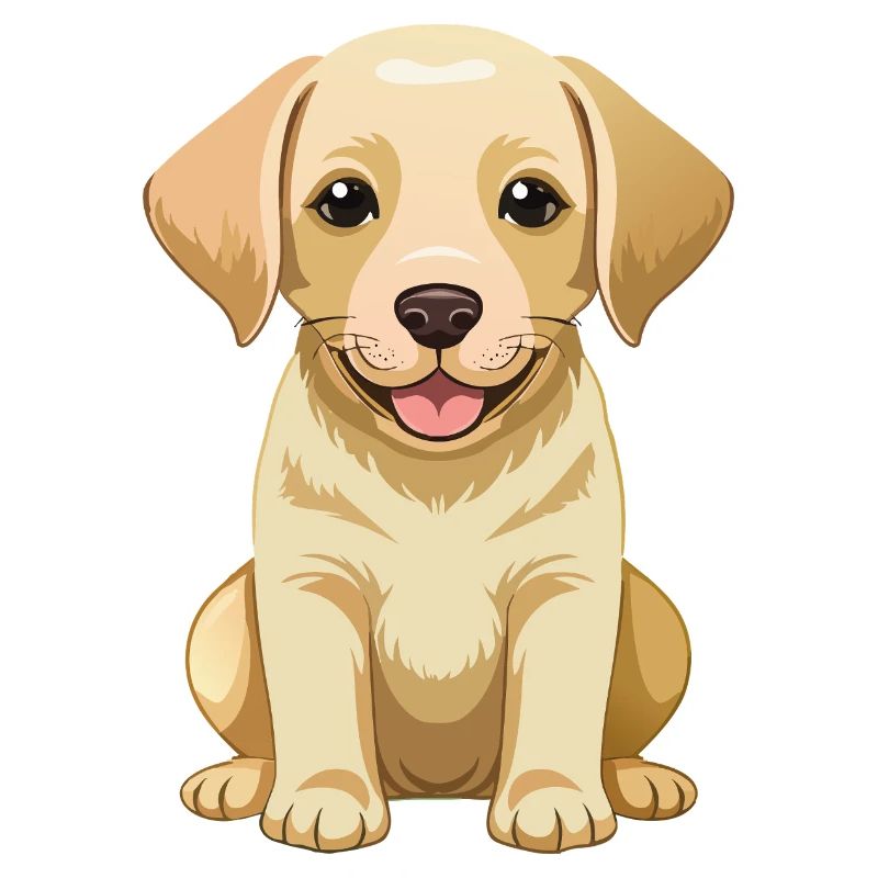 Mignon Labrador Retriever