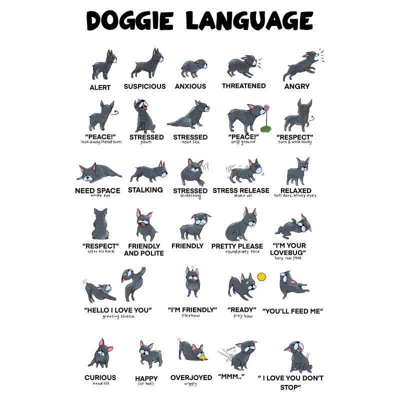 Langage canin