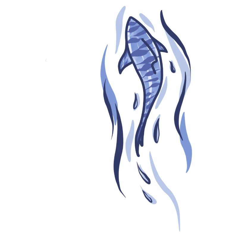 Illustration de requin
