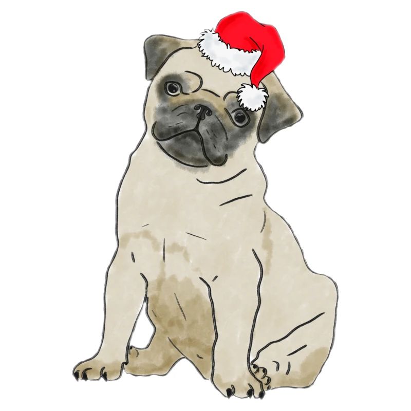 Chien de Noël