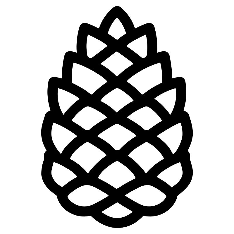 Pine Cone