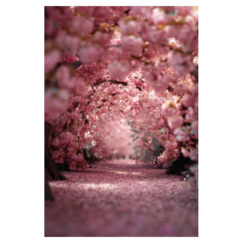 Cherry Blossom Arch Path